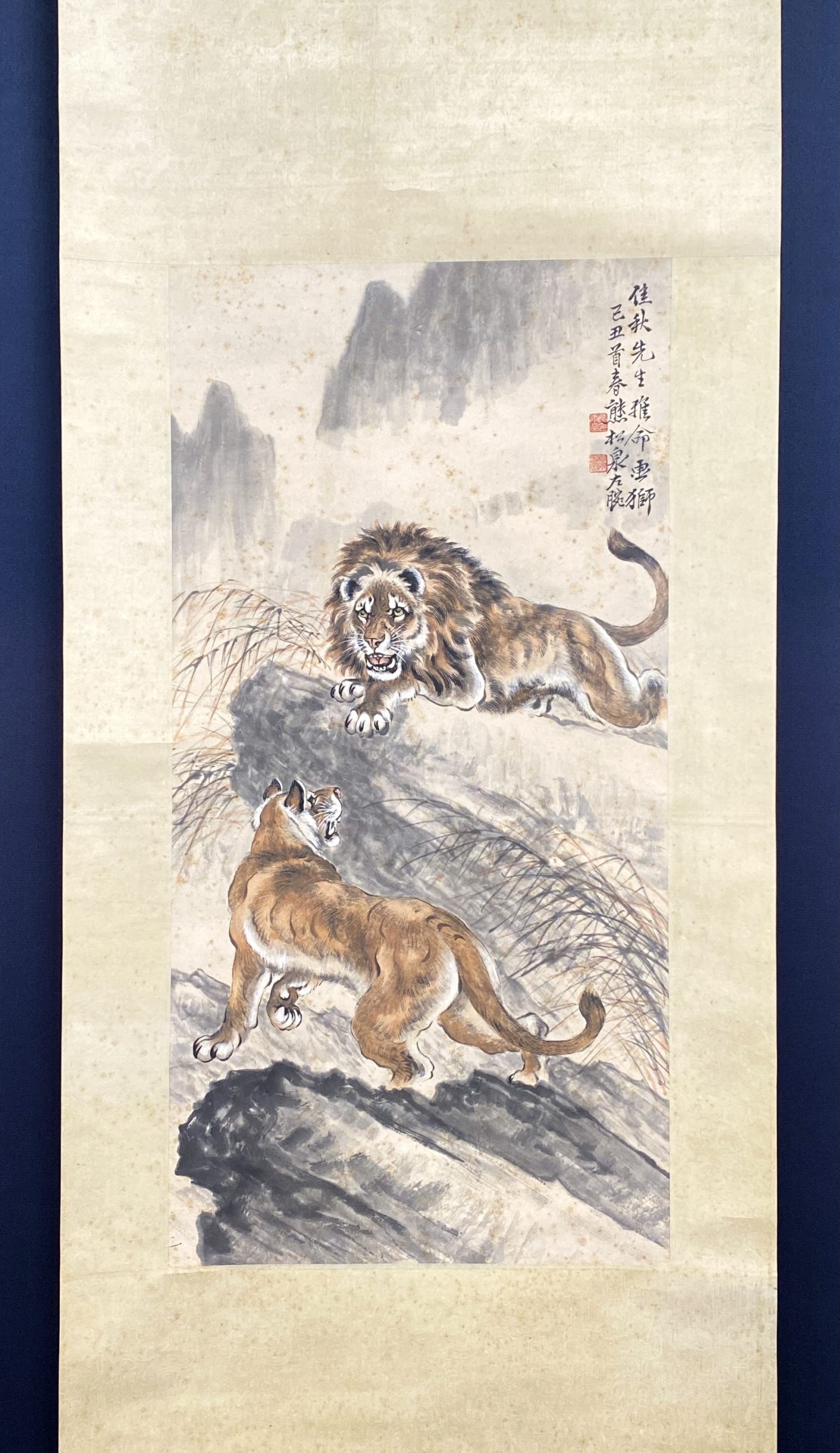 20576	「熊松泉」画 獅子図 軸	66×33㎝