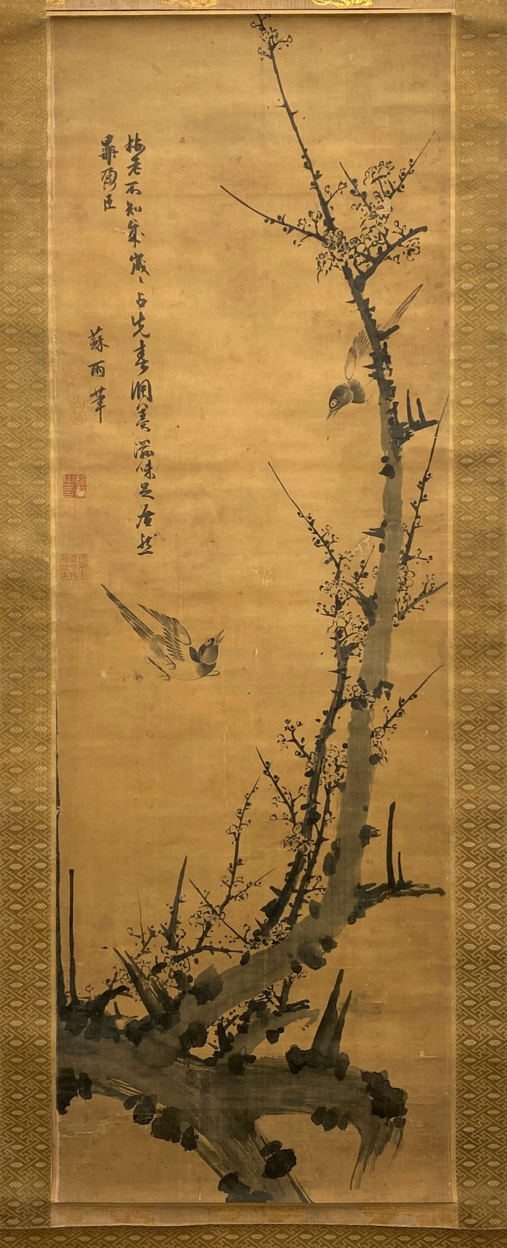 23636	「蘇雨」画 古画 梅花鳥図 軸 二重箱	124×41.5㎝