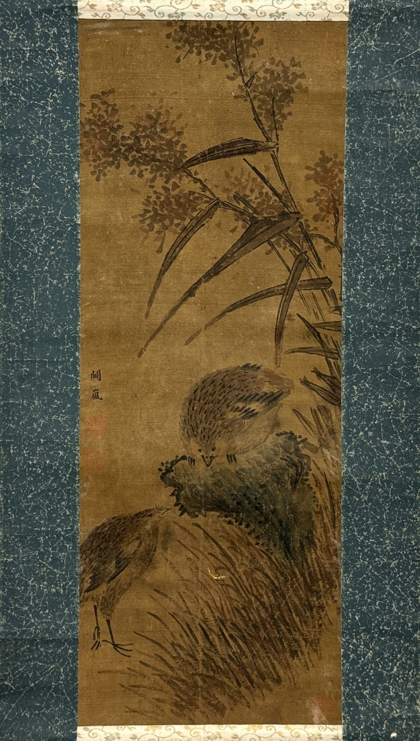 31632	清「闕嵐」画 鳥図 軸	47×18㎝