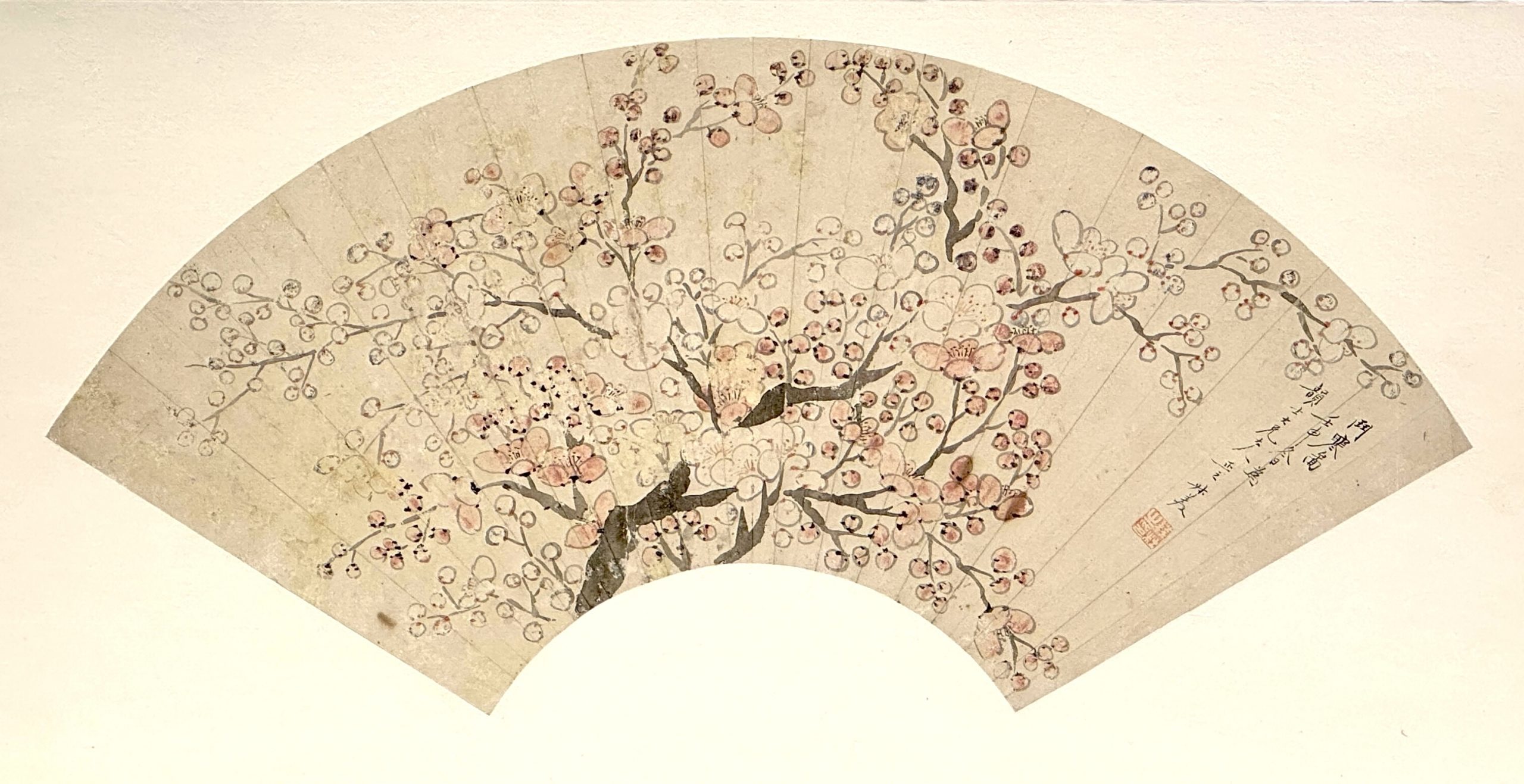 34307	「銭杜」画 梅花図 扇面 鏡心	24×54㎝