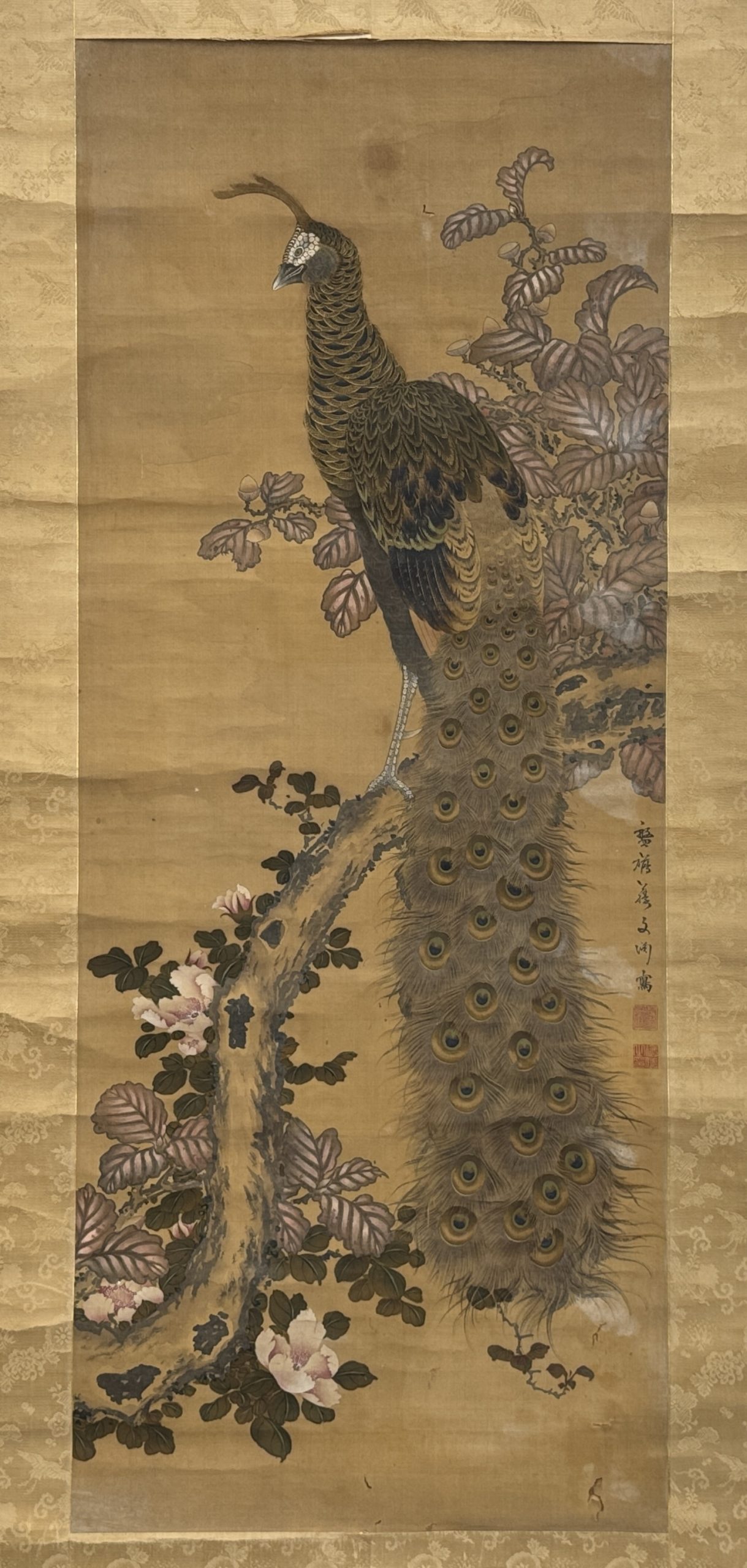 34359	「蒋文渕」画 孔雀図 軸	96×38㎝