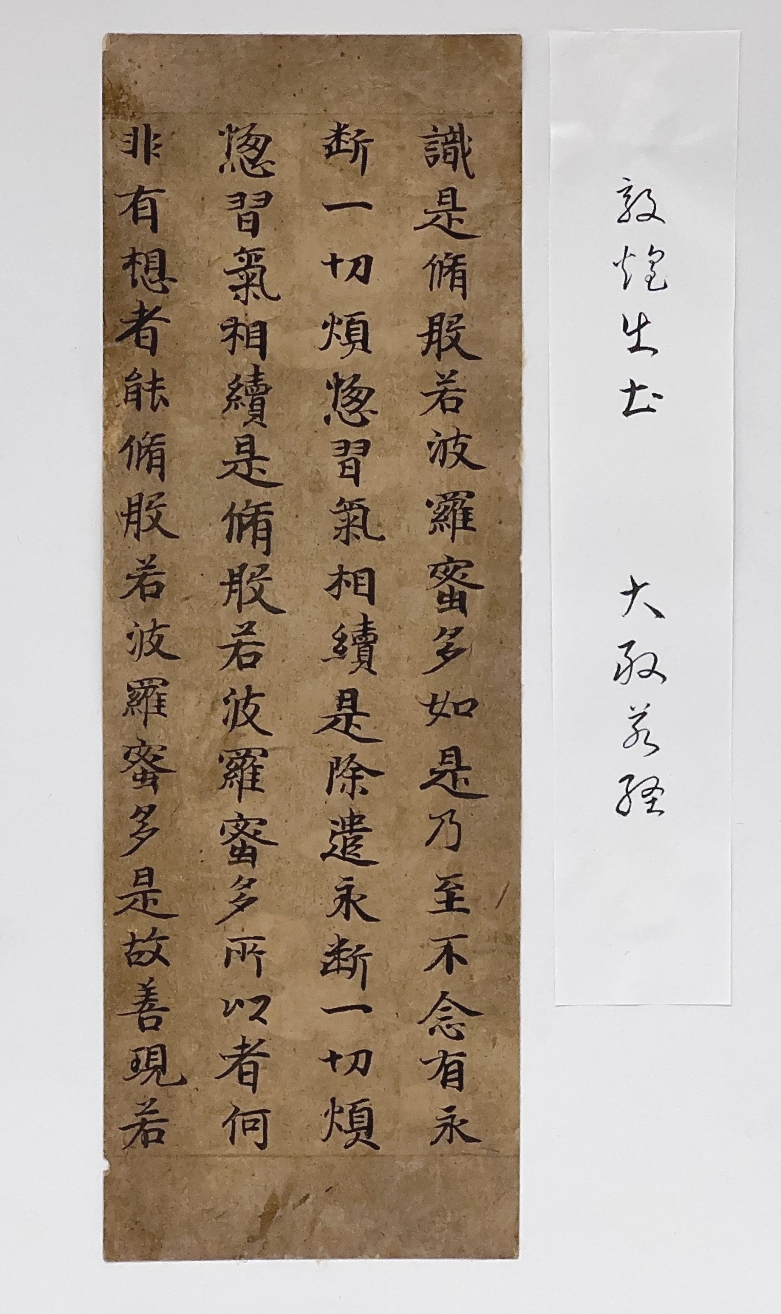 35518	敦煌経片 四行	23.5×8㎝