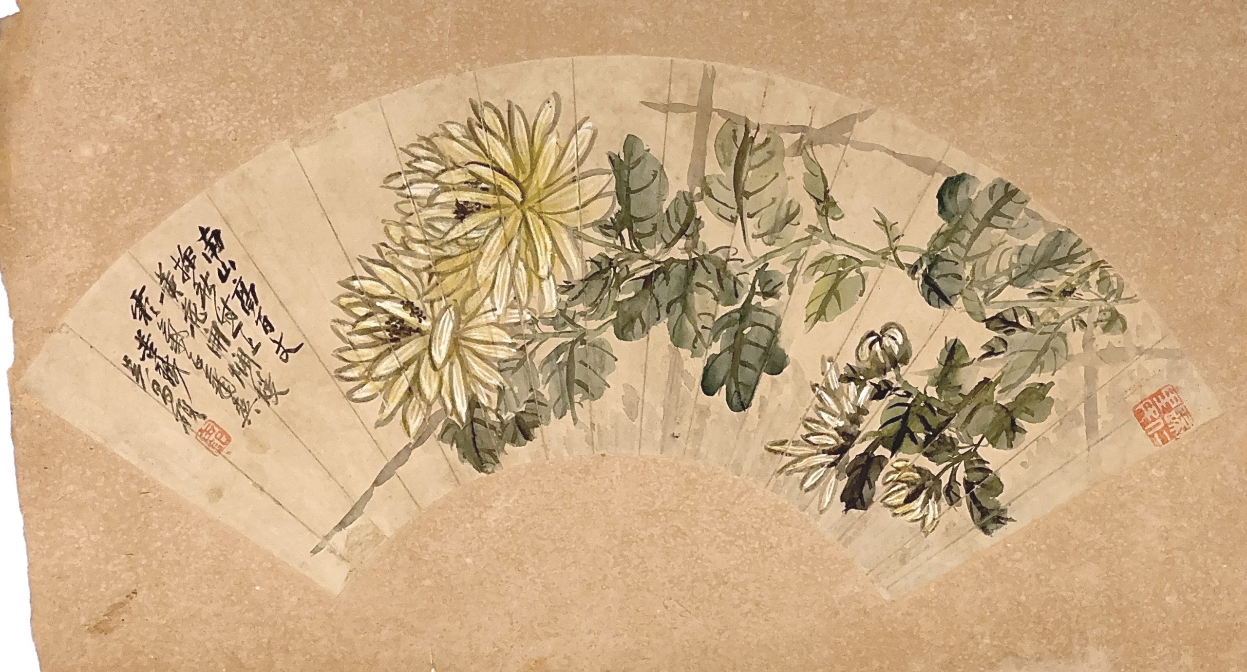 35519	「呉昌碩」画 花図 扇面	21×52㎝