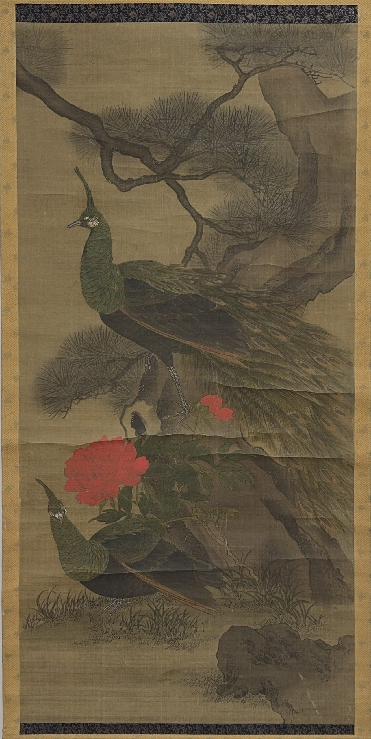 35619	古画 孔雀図 軸	127×60.5㎝