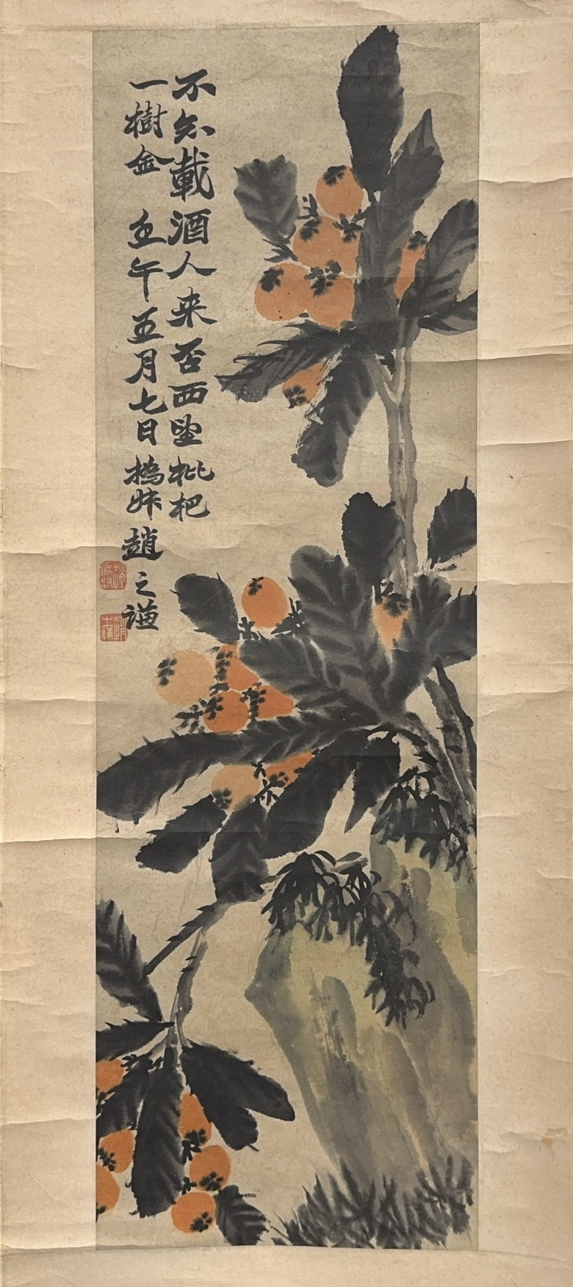 36509	「趙之謙」画 枇杷図 軸	95×29.5㎝