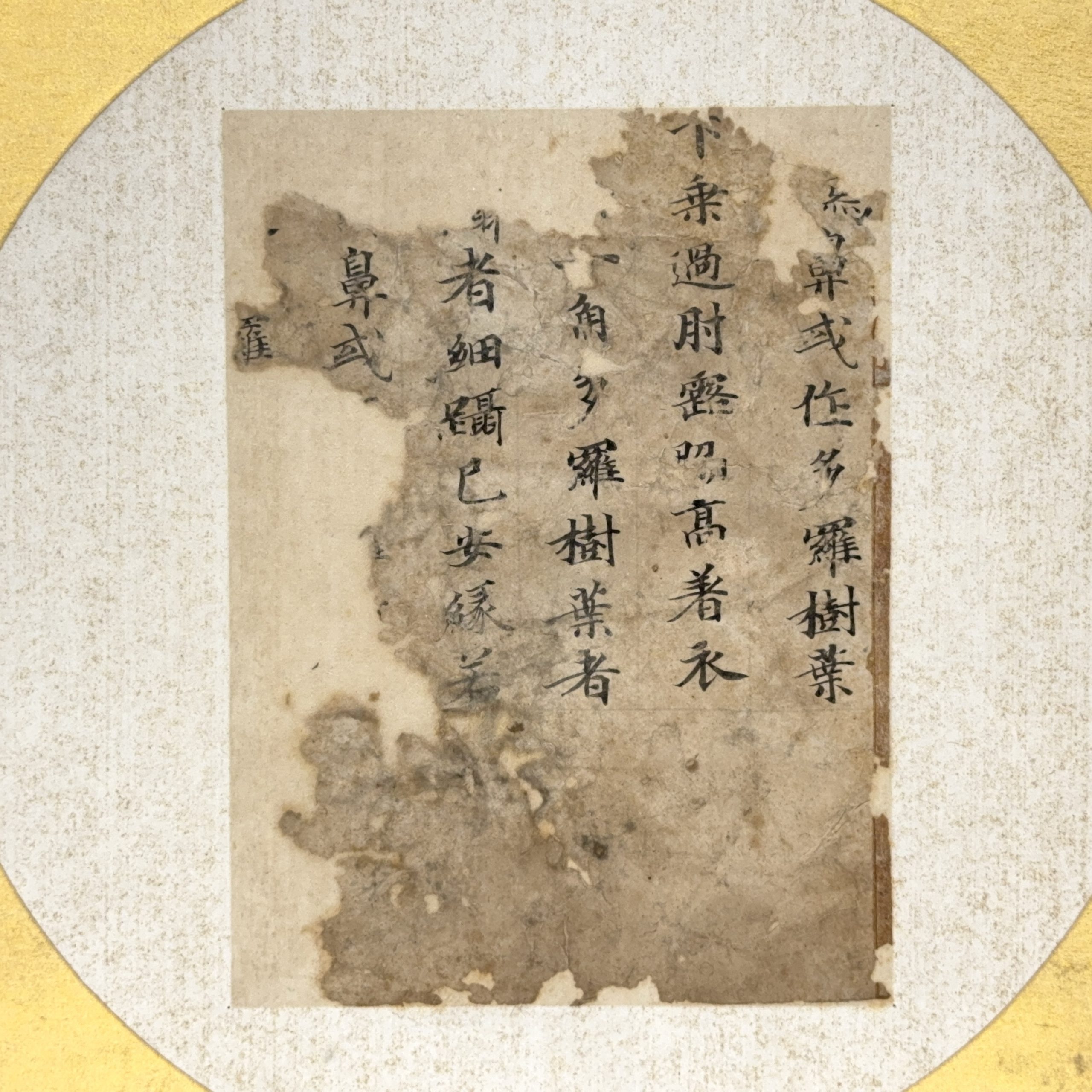 36517	古写経 片	15×11.5㎝