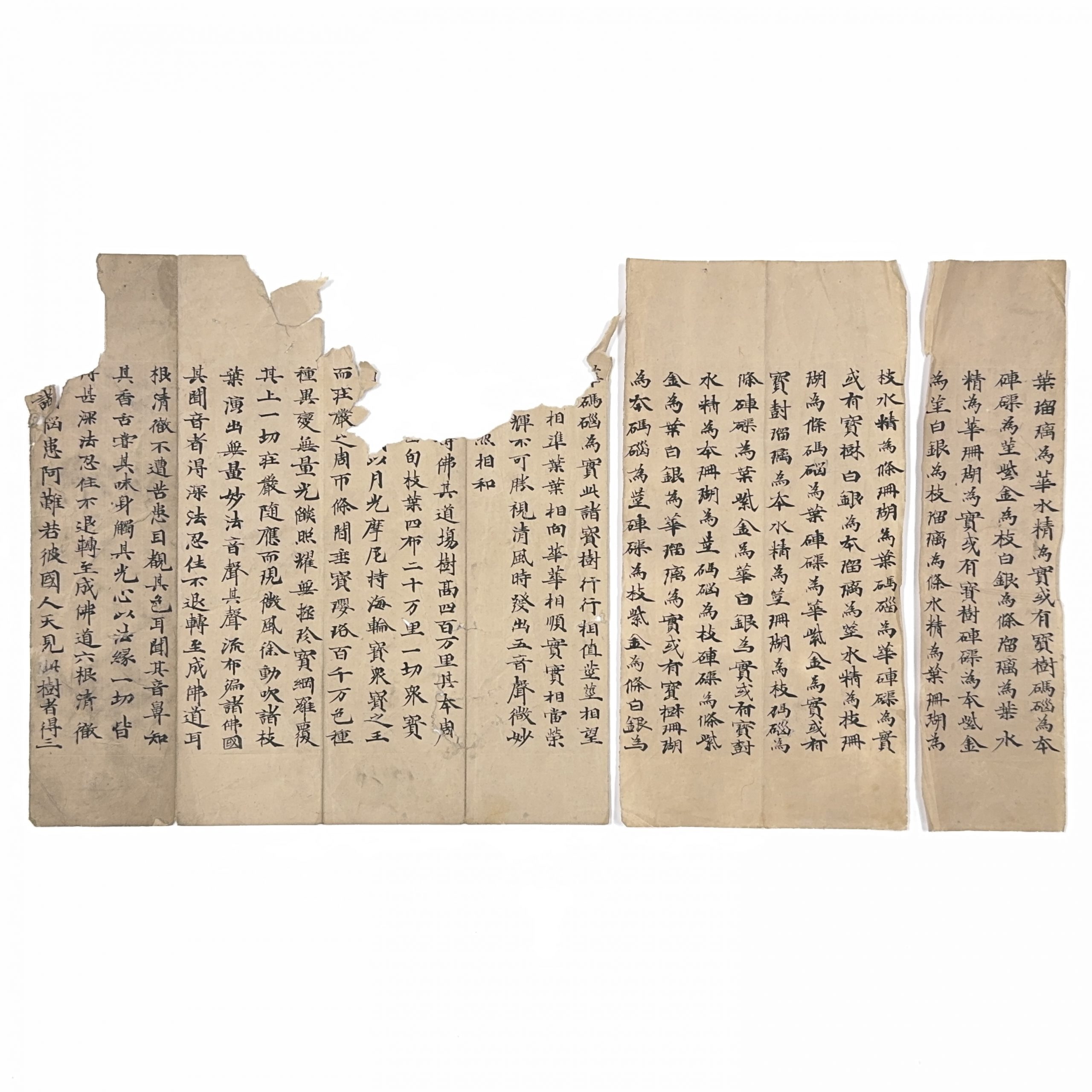 36641	古写経 片等 計13種	25×38㎝