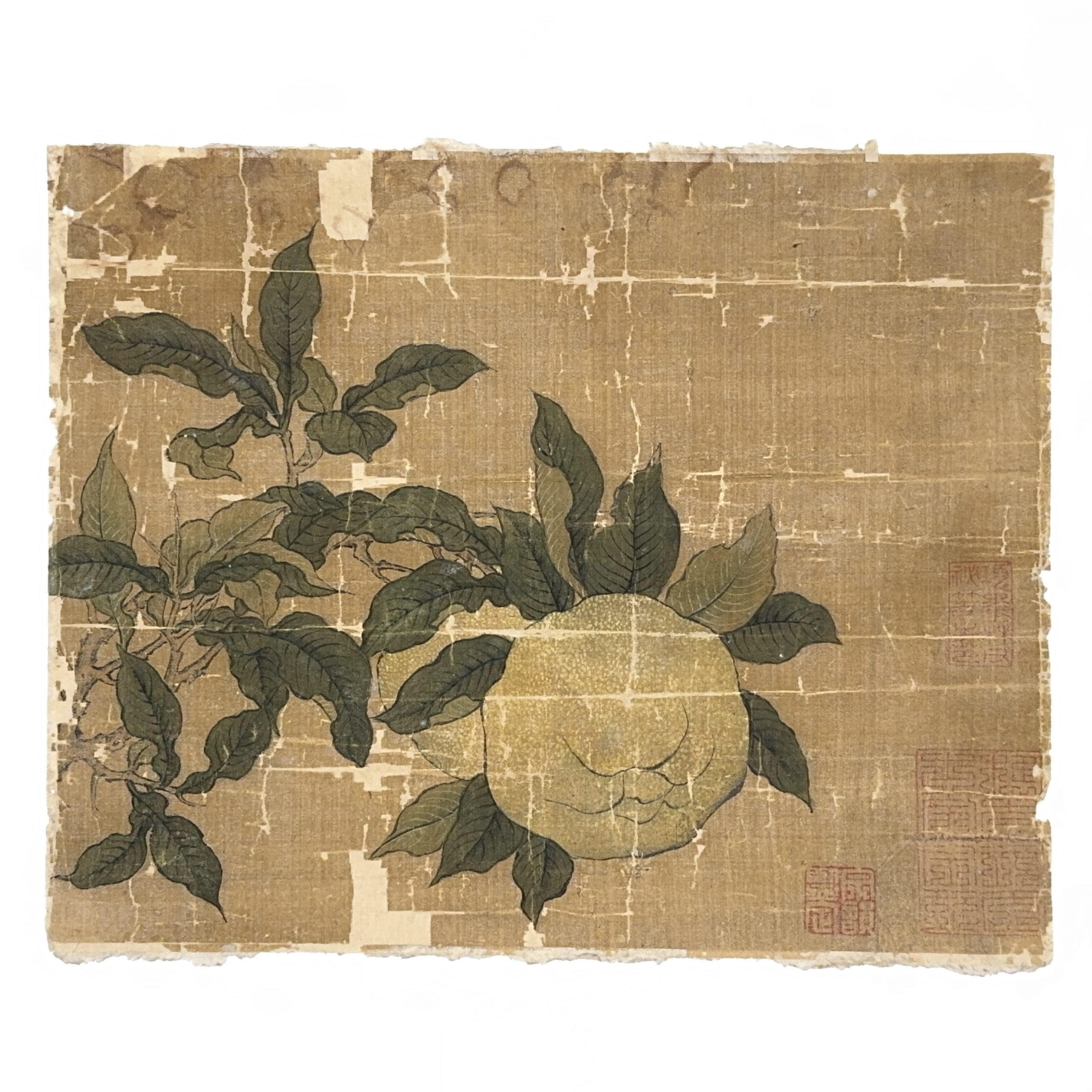 37520	在印 古画 石榴図 鏡心	24×29.5㎝