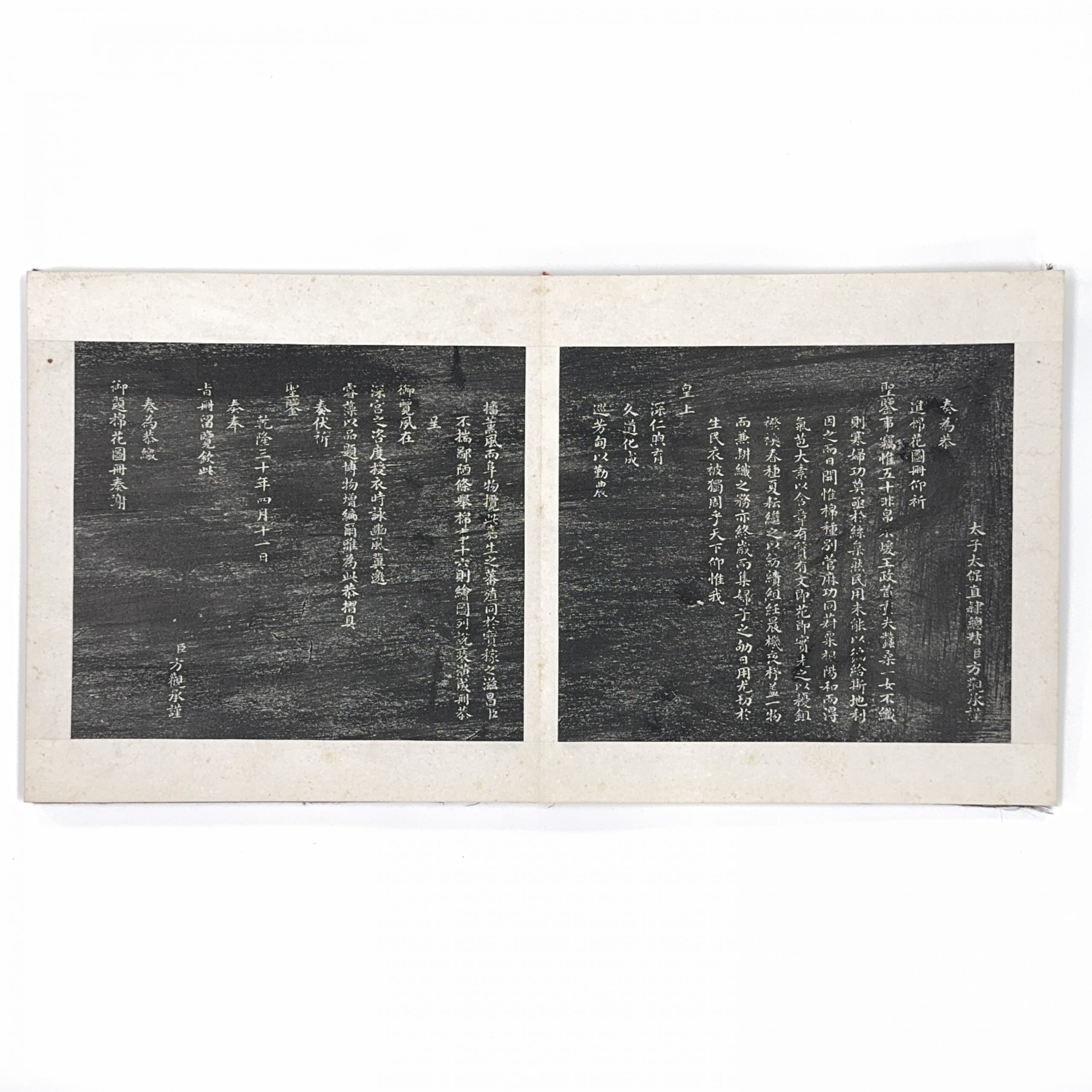 37561	「御題棉花圖冊」拓本 	23×26㎝